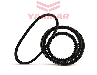 Keilriemen Lichtmaschine & Wasserpumpe